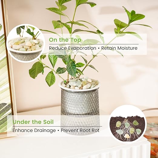 SIDONG 5 LB Jade Pebbles, 2/5 Inch Natural Decorative Polished Jade Stones, Jade River Rocks for Succulents, Cactus, Vases, Indoor Plants, Garden Landscaping, Bamboo