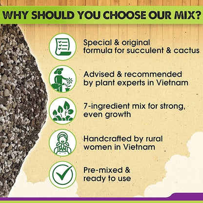 DUSPRO Succulents Soil Potting Mix – 7 in 1 Ingredients Well-Draining, Nutrient-Rich Cactus Potting Soil for Succulents and Cacti, Indoor & Outdoor Use, Ready to Use, Supports Healthy Root Growth, 4QT