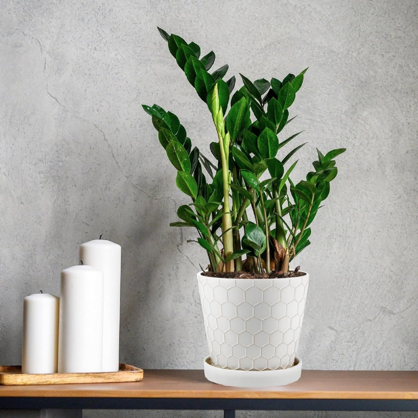 Ceramic Plant Pots,4+5+6 Inch Pots for Indoor Plants,Planters with Drainage Holes and Ceramic Tray, Indoor Flower Pots Gardening Home Desktop Office Windowsill Decoration Gift,Set of 3 (White)