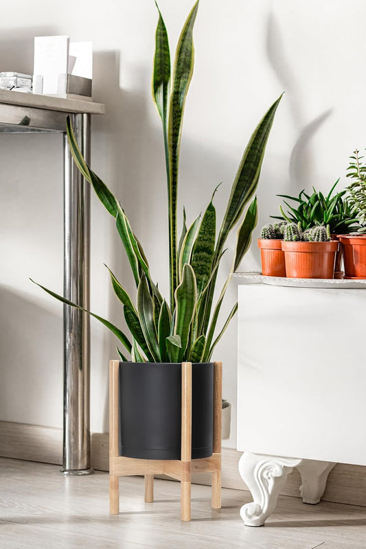 D'vine Dev Planter Pot with Stand - 10 Inch Plastic Cylinder Flower Pot with Wood Planter Holder for Indoor, Matte Black Pot + Natural Stand, 55-C-M-2