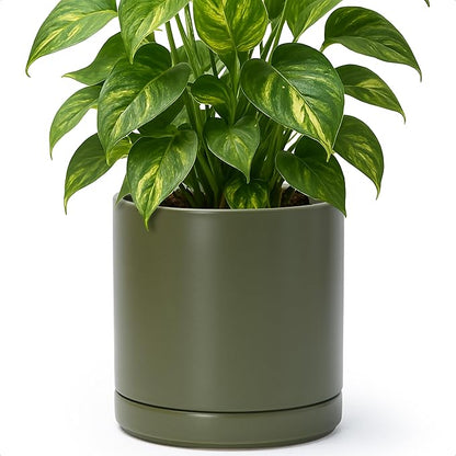 D'vine Dev 8.2 Inch Ceramic Planter Pot with Drainage Hole and Saucer, Indoor Cylinder Round Planter Pot, Olive, 94-O-D-J