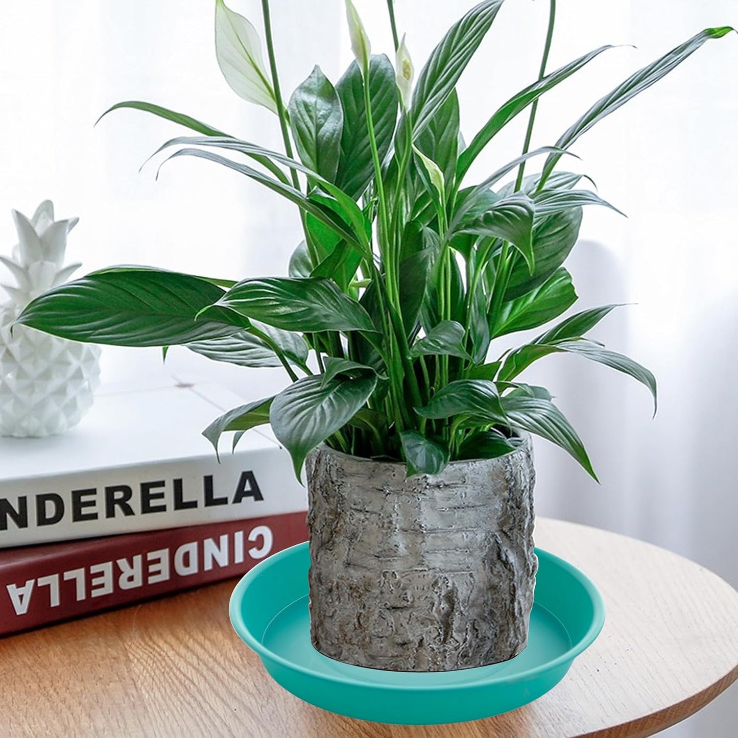 6 Pack Plastic Plant Saucer Water Drip Tray, 4 5 6 7 8 9 10 11 12 13 15 17 19 inch, Heavy Sturdy Plant Drainage Tray for Indoors Outdoor, Flower Saucers for Pots Base (4", Teal)