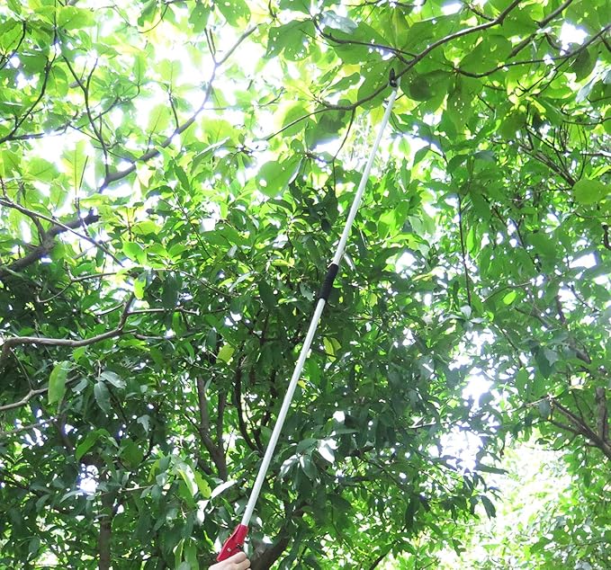 6 Feet Cut and Hold Tree Pruner, Rotation Pole Tree Trimming, Long Reach Fruit Picker, Branches Bypass Lopper