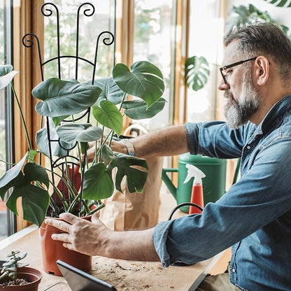 32.6in Monstera Plant Support Stakes for Indoor Plants, Metal Garden Plant Trellis for Climbing Plants, Pothos Vine Snake Climber Support，4p