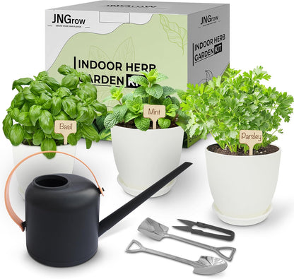 Indoor Garden Kit - Plant Pots with Drainage, Watering Can & Tools - Ideal Windowsill Planter Set - Modern Home & Kitchen Decor Gift - White