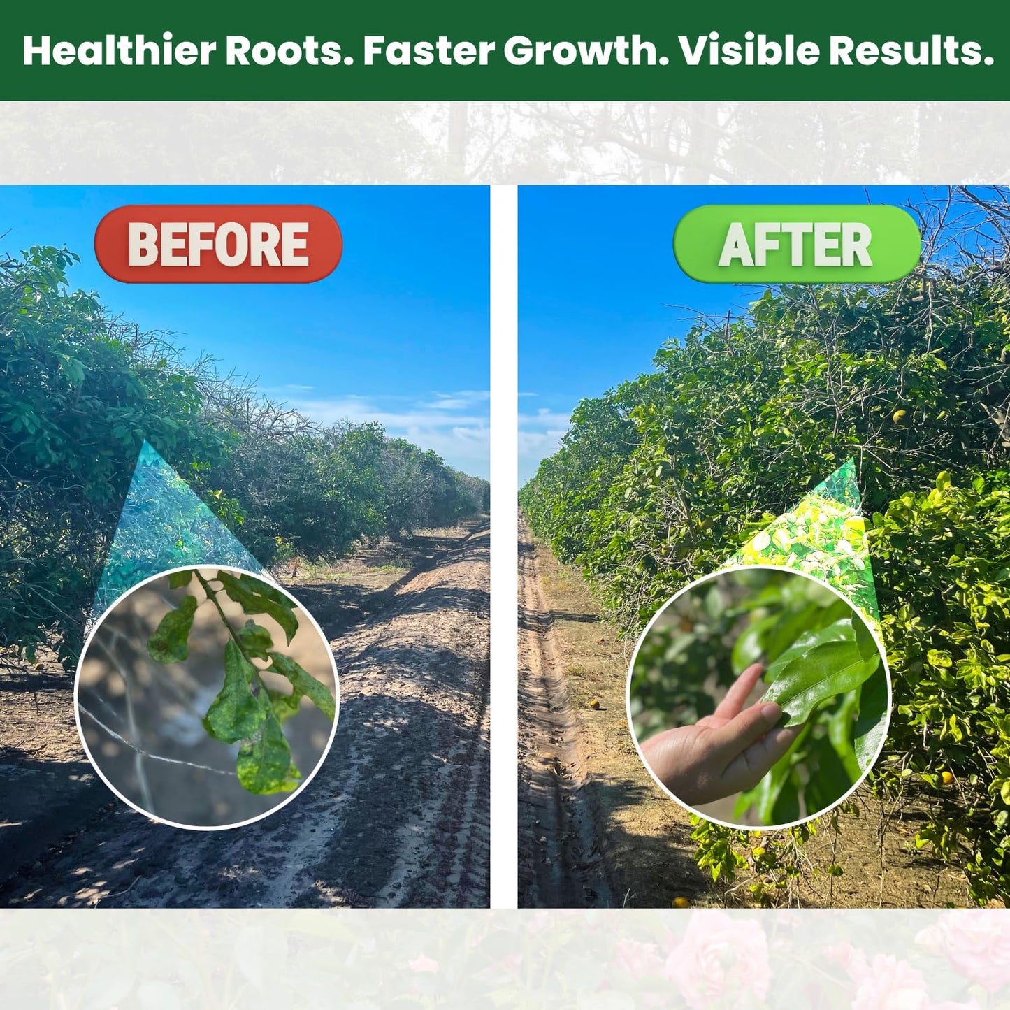 Concentrated Liquid Enzyme-Powered Organic Plant Food (8.45oz) | Enzyme-Rich Fertilizer Growth Booster for Bigger Buds & Stronger Roots, Ideal for Indoor Pots & Outdoor Gardening