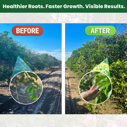 Concentrated Liquid Enzyme-Powered Organic Plant Food (8.45oz) | Enzyme-Rich Fertilizer Growth Booster for Bigger Buds & Stronger Roots, Ideal for Indoor Pots & Outdoor Gardening