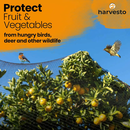 Heavy Duty Bird Netting for Chicken Coops & Runs | Tree & Garden Netting Mesh 1-1/2" | Keep Hawks, Birds & Predators Away | Bird Netting for Blueberry Bushes, Vegetables & Fruit (25' x 100')