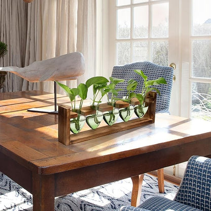 Plant Terrarium Hanging Propagation Stations Gift for Women Air Plants Holder with Wooden Stand Heart Glass