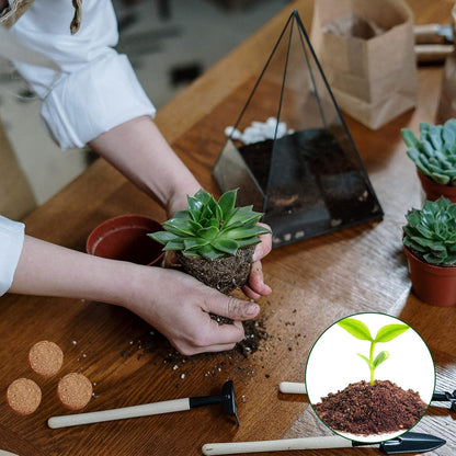 ZeeDix Organic Coco Coir Pellets Potting Soil, 50pcs 30mm Compressed Coconut Coir Seed Starter Soil Pellets, Coco Peat Soil Discs for Indoor Outdoor Plants, Herbs, Houseplants, Flowers and Vegetables