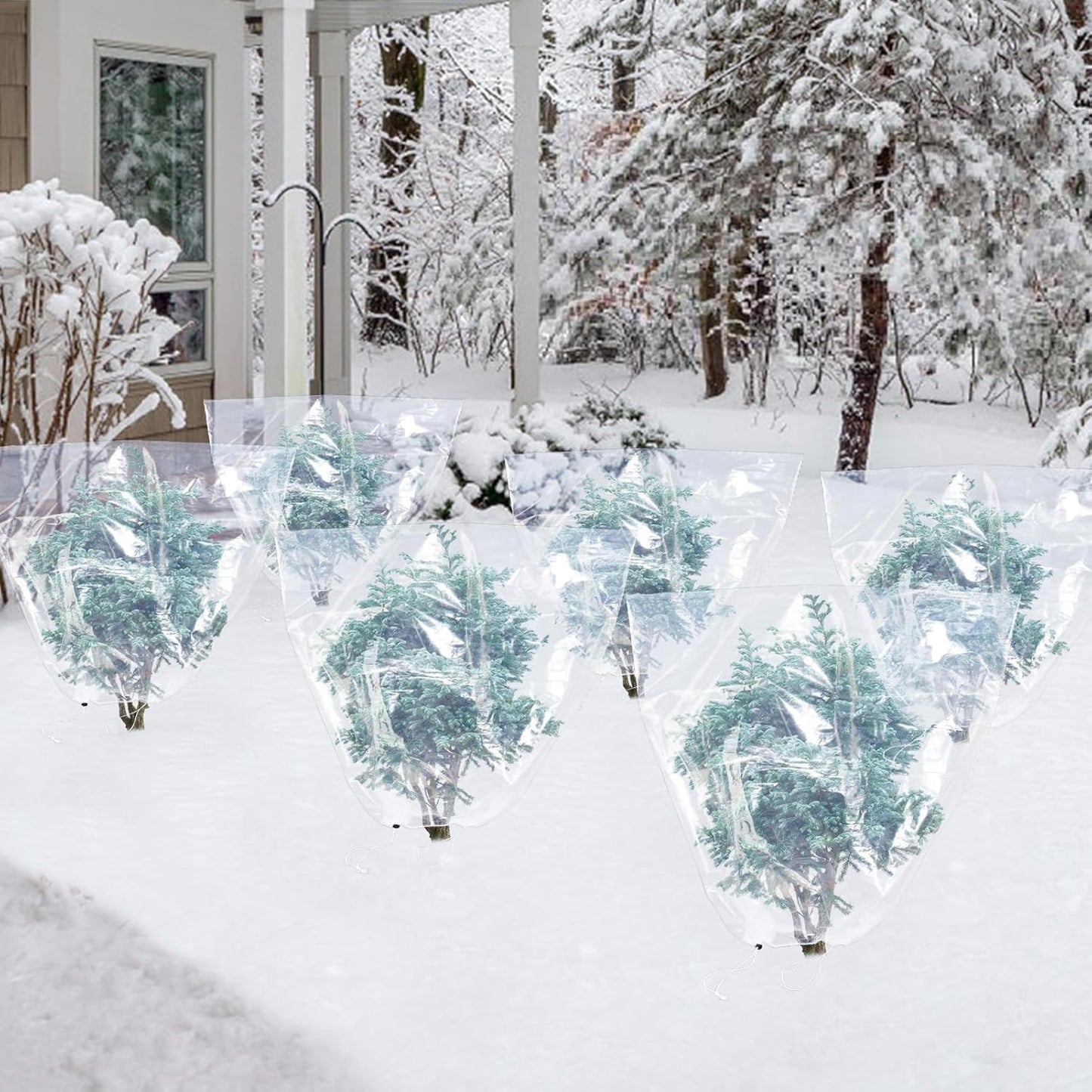6 Pcs Winter Plant Cover Freeze Protection - 39.3" x 39.3" Plastic Plant Frost Bags with Drawstring, Transparent Waterproof Plant Shelter Coverings for Outdoors Garden Plants Shrubs Sapling Bushes