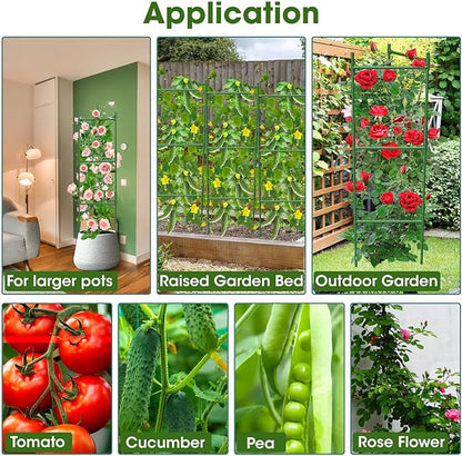 3 Pack Tomato Cage,Tomato Cage for Raised Garden Bed, 48'' Tall Tomato Trellis Triangle or Square Cages for Garden,Pots, Plant Cages & Supports（Green, Extra Bold ）
