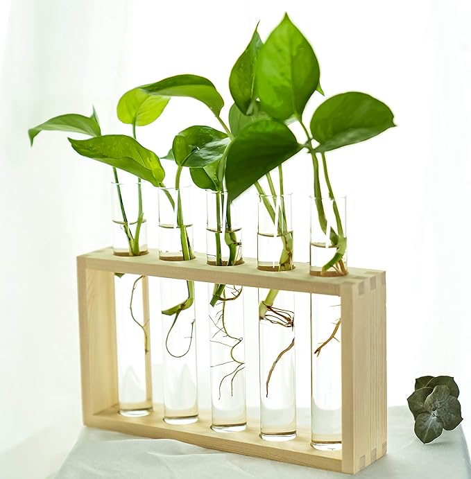Wooden Propagation Station with 5 Glass Test Tubes, Tabletop Glass Terrarium Holder for Plant Cuttings Hydroponics, Home Office Desk Decor Gift for Women Mom Plant Lovers, Beige