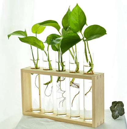 Wooden Propagation Station with 5 Glass Test Tubes, Tabletop Glass Terrarium Holder for Plant Cuttings Hydroponics, Home Office Desk Decor Gift for Women Mom Plant Lovers, Beige
