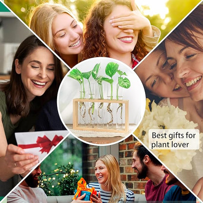 Propagation Station, Plants Terrarium, Plants Lover Gifts for Women,Plant Cutting Holder Home décor,Gifts for Women,House Warming New Home-5 Tubes-Beige