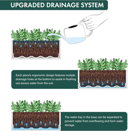 D'vine Dev 12 Inch Window Box Planter, Rectangle Plastic Herb Planter with Drainage Holes and Saucer, Indoor Succulent Cactus Vegetable Pot for Windowsill, Garden Balcony, Clear, Set of 2, 76-X-D-2