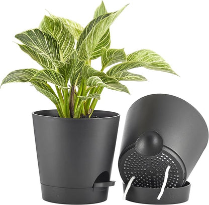 FaithLand 2-Pack 8 Inch Planter Pots for Indoor Outdoor Plants, Self Watering Flower Pots with Deep Reservoir, Black …