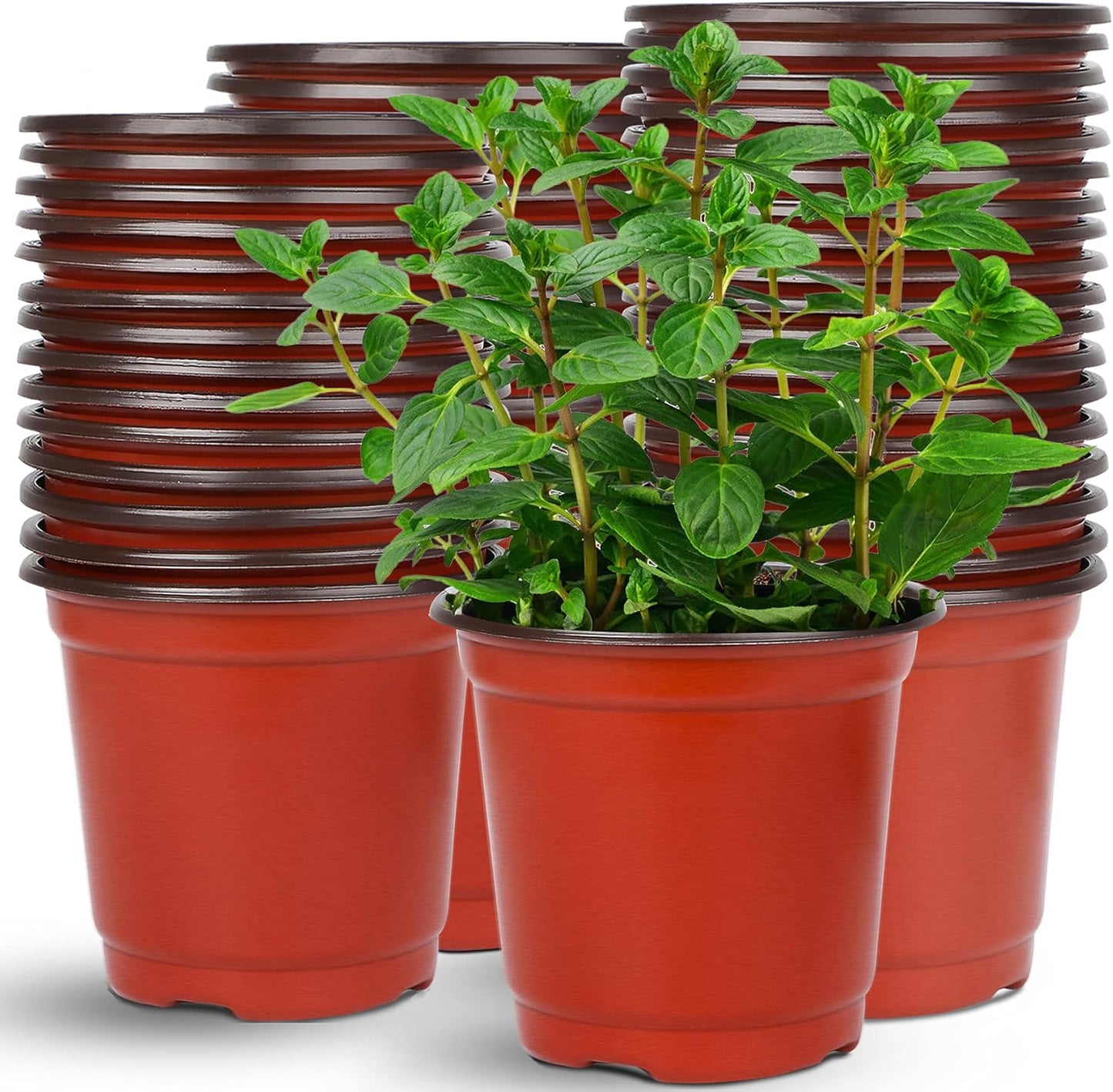 Augshy 75 Pcs 6" Plastic Plants Nursery Pot, Indoor Outdoor Seed Starting Pots