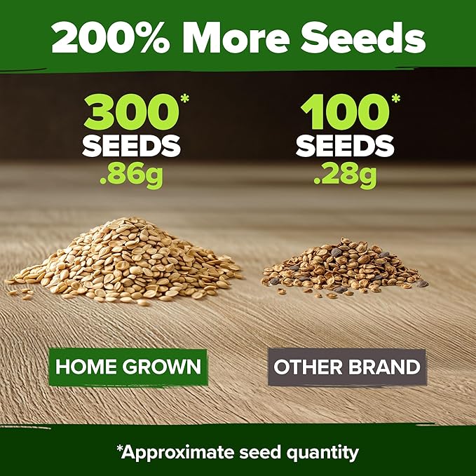 HOME GROWN Beefsteak Tomato Seed Pack - 300 Heirloom Tomato Seeds for Planting Outdoors – High-Yield Non-GMO Vegetable Seeds for Growing Large, Meaty Tomatoes for Summer Dishes (Solanum lycopersicum)