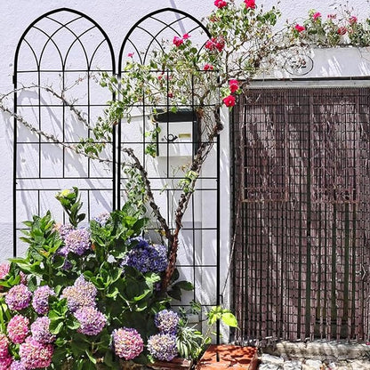 LZRS 4 Pack 71x20in Rustic Iron Arch Decoration Garden Trellis with Black Metal Coating – Perfect for Supporting Climbing Plants Outdoor, Roses, Vines, Flowers, and Vegetables.