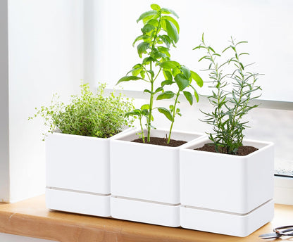 4 Inch Herb Planter Pot, Plastic Planter with Drainage Holes and Saucer, Modern Decorative Gardening Pot for Indoor Plants, Flowers, Herbs, Succulents, White, Set of 3, 76-Y-A-3