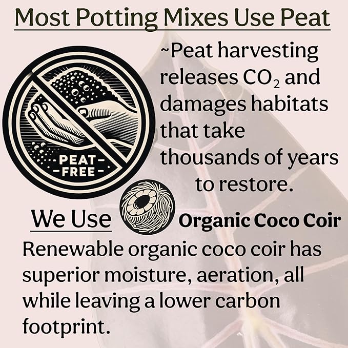 Craft Organic Houseplant Potting Mix, Elite House Plant Soil, Chunky, Well Draining Potting Soil for All Indoor Plants, Tropical Plants & Flowers, Sustainable & Peat Free, Less Prone to Gnats, 12QT