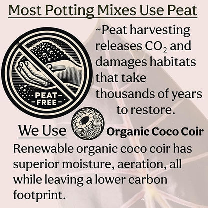 Craft Organic Houseplant Potting Mix, Elite House Plant Soil, Chunky, Well Draining Potting Soil for All Indoor Plants, Tropical Plants & Flowers, Sustainable & Peat Free, Less Prone to Gnats, 8QT