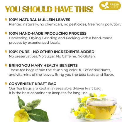 FreshDrinkUS, Premium 120 Mullein Leaf Tea Bags For Lung, 100% Natural & Pure from Mullein Leaves. Loose Leaf Mullein Herbal Tea. Made with Natural Material Tea Bags. No Sugar, No Caffeine, No Gluten, Vegan.