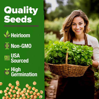 HOME GROWN Cilantro Seeds 250 Calypso & 250 Santo Cilantro for Planting Indoors, Hydroponics or Aerogarden - Heirloom, Non-GMO, Santo Plant, for Your Indoor Herb Garden