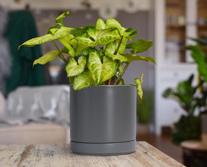 D'vine Dev 4 Inch & 6 Inch & 8 Inch, Set of 3 Round Ceramic Planter Pot with Drainage Hole and Saucer, Grey, 94-T-M-3