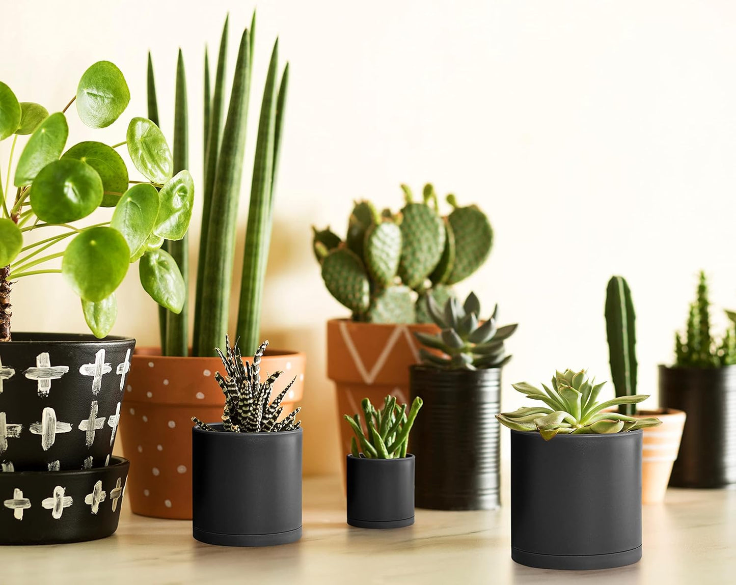 D'vine Dev Pack of 36 Plastic Plant Pots (12 Set of 2 Inch, 2.5 Inch, 3 Inch) Small Garden Planter Pots for Plant with Drainage Holes and Saucers, Black, 74-T-B