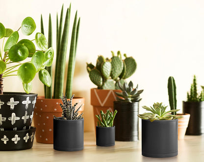 D'vine Dev Pack of 36 Plastic Plant Pots (12 Set of 2 Inch, 2.5 Inch, 3 Inch) Small Garden Planter Pots for Plant with Drainage Holes and Saucers, Black, 74-T-B