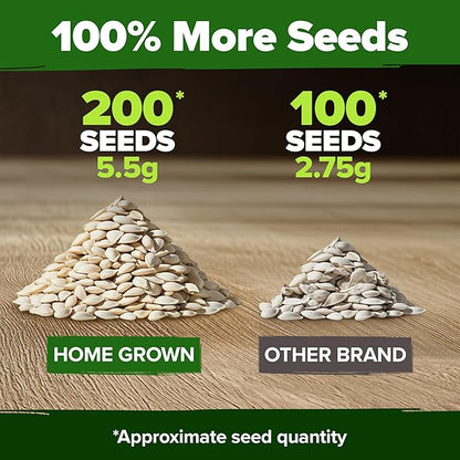 HOME GROWN 𝗨𝗦𝗔 𝗣𝗥𝗘𝗠𝗜𝗨𝗠 Organic Cucumber Seeds - 200 Marketmore Heirloom 𝗡𝗢𝗡-𝗚𝗠𝗢 Vegetable Seeds for Planting in Trellises, Raised Beds, Containers (Cucumis sativus)