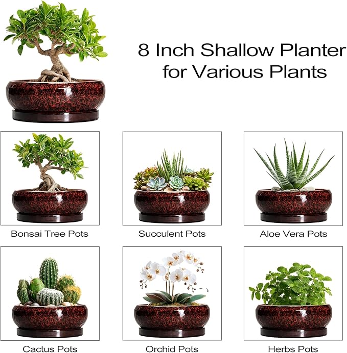 Bonsai Pots - 8 Inch Ceramic Succulent Planters for Indoor Outdoor, Round Shallow Planters with Drainage Hole and Saucer, Succulent Planter Bowl, Home Decor, Housewarming Gifts, Red
