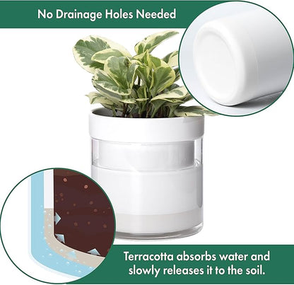 Phoenix Vine 6 Inch 4 Inch Self Watering Planter, White Terracotta Clay Pots with Glass Reservoir for Indoor Plants, Herbs, Flowers, 52-B-G-46