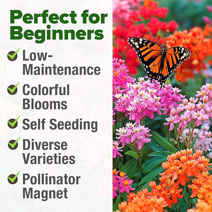 HOME GROWN Milkweed Flower Seeds - 500+ Heirloom Perennial Wildflower Seeds (5 Individual Varieties) Supports Monarch Habitat, Grows in Zones 3–10 (Asclepias syriaca)