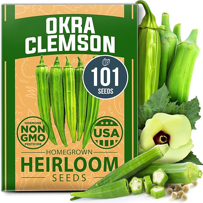 HOME GROWN 𝗨𝗦𝗔 𝗣𝗥𝗘𝗠𝗜𝗨𝗠 Clemson Spineless Okra Seeds 101+ 𝗡𝗢𝗡-𝗚𝗠𝗢 Heirloom Vegetable Seeds for Planting Easy to Grow Outdoor Summer Garden High Germination Rate (Abelmoschus esculentus)