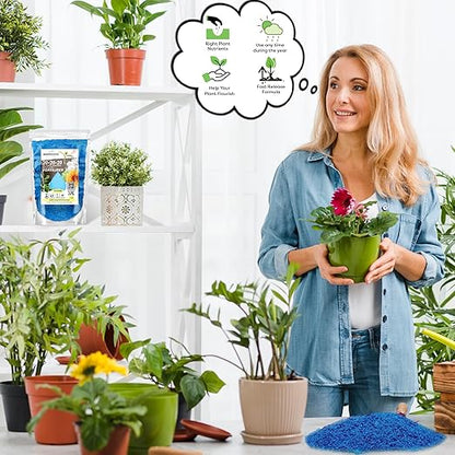 20-20-20 Water-Soluble Fertilizer – Powder for Liquid Plant Food for Indoor & Outdoor Plants, Orchids, Vegetables, Lawns, Flowers – 20 20 20 Fertilizer (10 QUARTS)