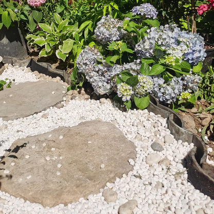 20 lbs White River Rocks for Landscaping, 0.5-1 Inch Pebbles for Indoor Plants, Decorative Stones for Succulent, Cactus, Vases, Aquariums, Crafting and Garden