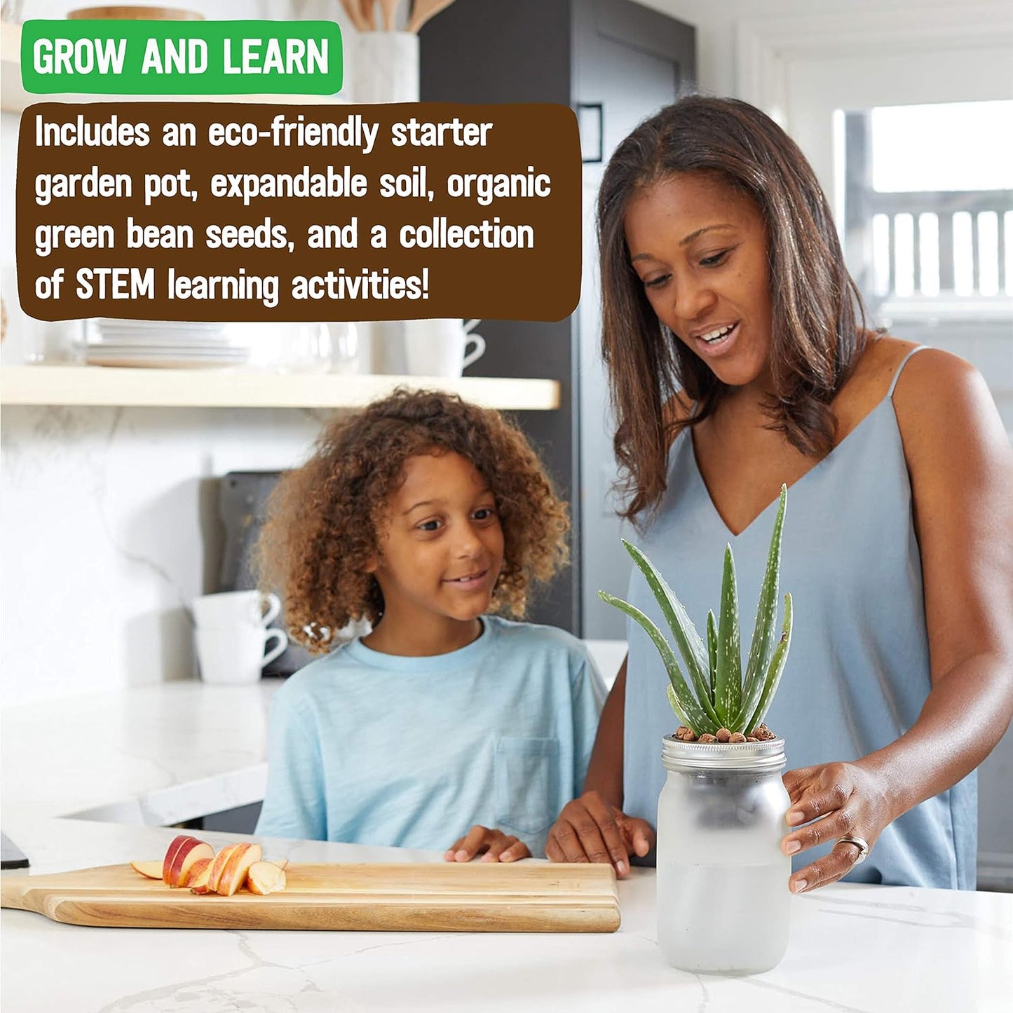 Back to the Roots Self Watering Grow Kit - Glass Hydroponic Planters for Succulents and Cacti Self-Watering System