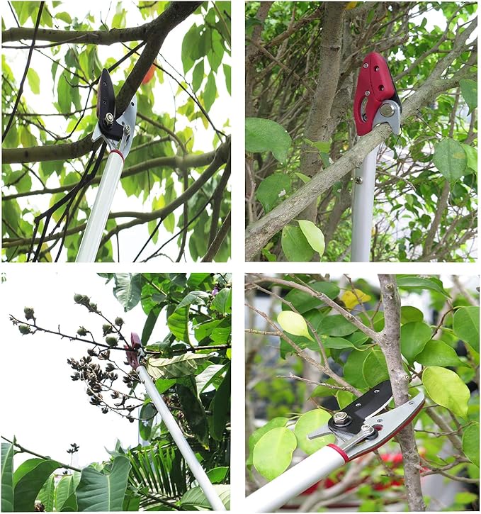 4 Feet Cut and Hold Tree Pruner, Rotation Pole Tree Trimming, Long Reach Fruit Picker, Branches Bypass Lopper