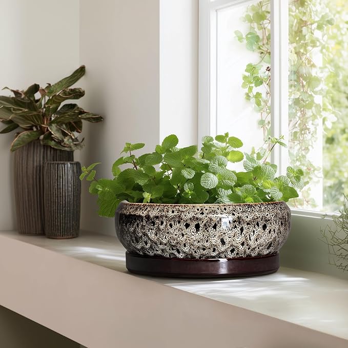 Bonsai Planter 13 Inch - Large Ceramic Succulent Planters, Shallow Plant Pot Indoor with Drainage Hole and Tray, Bonsai Pot, Round Bowl Planter Outdoor, House Decor, Housewarming Gift, White