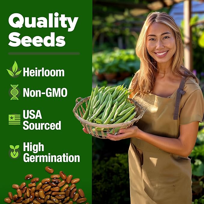 HOME GROWN 𝗨𝗦𝗔 𝗣𝗥𝗘𝗠𝗜𝗨𝗠 Contender Bush Bean Pack - 28 𝗡𝗢𝗡-𝗚𝗠𝗢 Heirloom Green Beans, Vegetable Seeds for Planting, Emergency Food Supply (Phaseolus vulgaris)