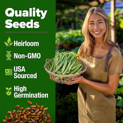 HOME GROWN 𝗨𝗦𝗔 𝗣𝗥𝗘𝗠𝗜𝗨𝗠 Contender Bush Bean Pack - 28 𝗡𝗢𝗡-𝗚𝗠𝗢 Heirloom Green Beans, Vegetable Seeds for Planting, Emergency Food Supply (Phaseolus vulgaris)