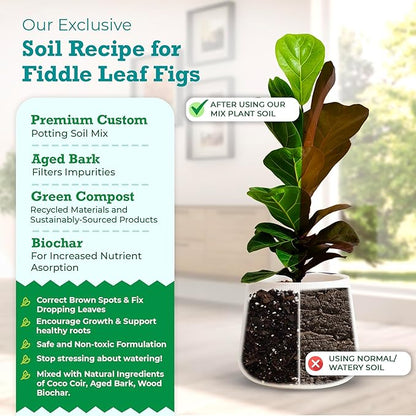 100% Organic Fiddle Leaf Fig Soil – Optimally-Draining Potting Mix for Healthy Roots, Fewer Brown Spots & Faster Growth | Enriched with Biochar & Bark | Made in USA | Large 7.5L Bag