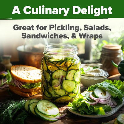 HOME GROWN 𝗨𝗦𝗔 𝗣𝗥𝗘𝗠𝗜𝗨𝗠 Organic Cucumber Seeds - 200 Marketmore Heirloom 𝗡𝗢𝗡-𝗚𝗠𝗢 Vegetable Seeds for Planting in Trellises, Raised Beds, Containers (Cucumis sativus)