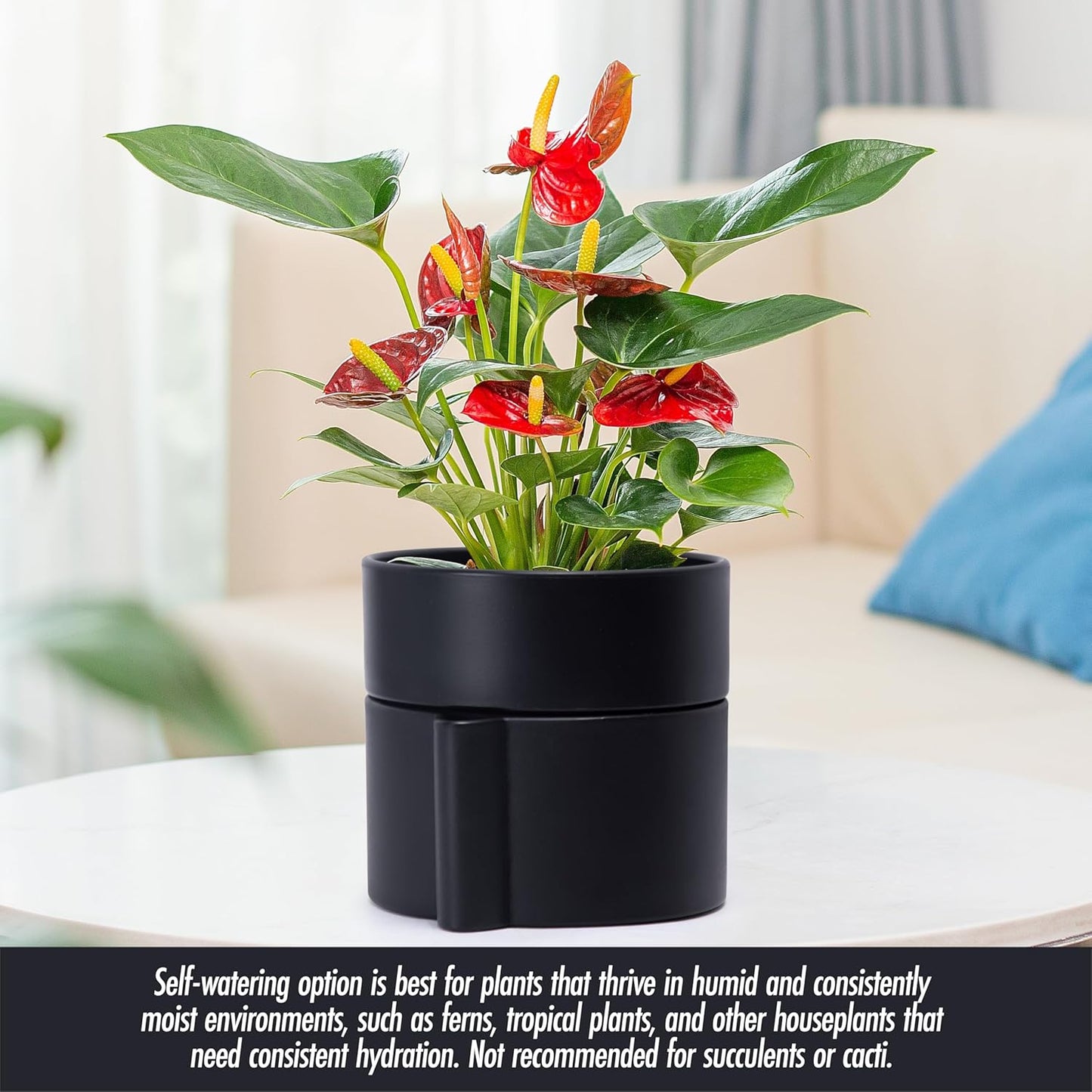 Phoenix Vine 6.5 Inch Self-Watering Planter Pot with Terracotta Insert, Deep Water Reservoir, and Ceramic-Alike BPA-Free Plastic Planter Pot for Plant, Modern Planter for Houseplants, Black, 53-A-S-2