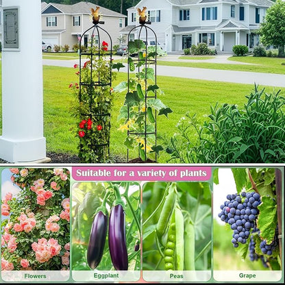 Metal Garden Obelisk Trellis for Climbing Plants Outdoor，Rose Round Trellis with Squirrel Head Auto Sensor Solar Light Rustproof Tomato Plant Support for Vines Cucumbers Tomato Cage,1 Pack