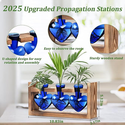 Lifecapido Heart Shaped Propagation Stations, Plant Terrarium with Wooden Stand, Plant Propagation Station for Hydroponics Plants Office Garden Home Decor, Gifts for Women Plant Lover (3 Vases, Blue)