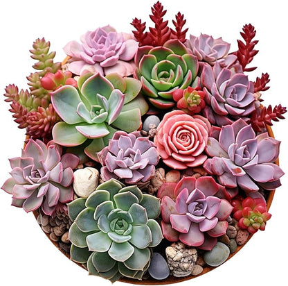 Premium Organic Succulent Potting Mix – Well-Draining Indoor Plant Soil – Safe, Eco-Friendly, UV-Treated – Perfect for Succulents, Aloe, and Cacti – Handcrafted in The USA (3 Quarts)